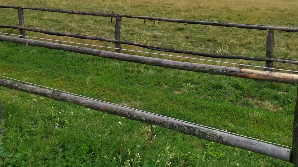 761425ce4bb049cc84bd694e6e461c3b