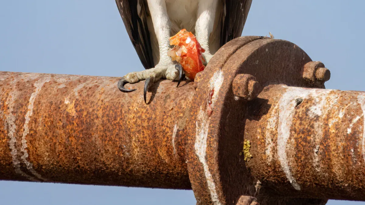 What is a flange bolt chart and how to use it for piping projects