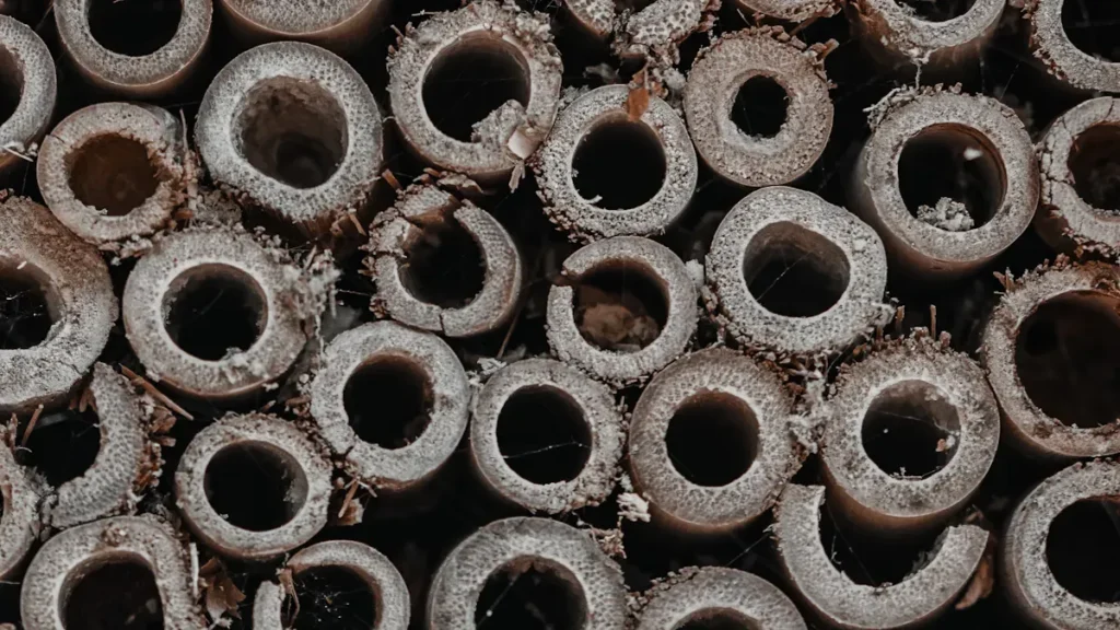 Review of heavy duty hex nuts for industrial use